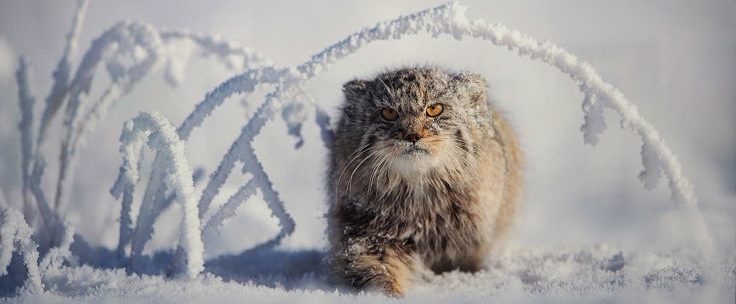 Городской выпускной в Парке Горького